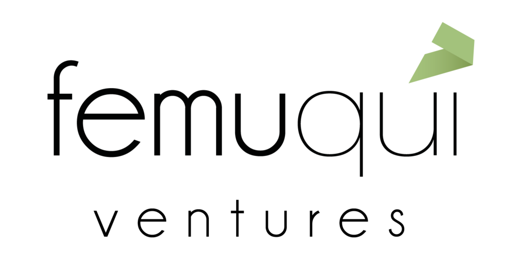 Logo Femu quì